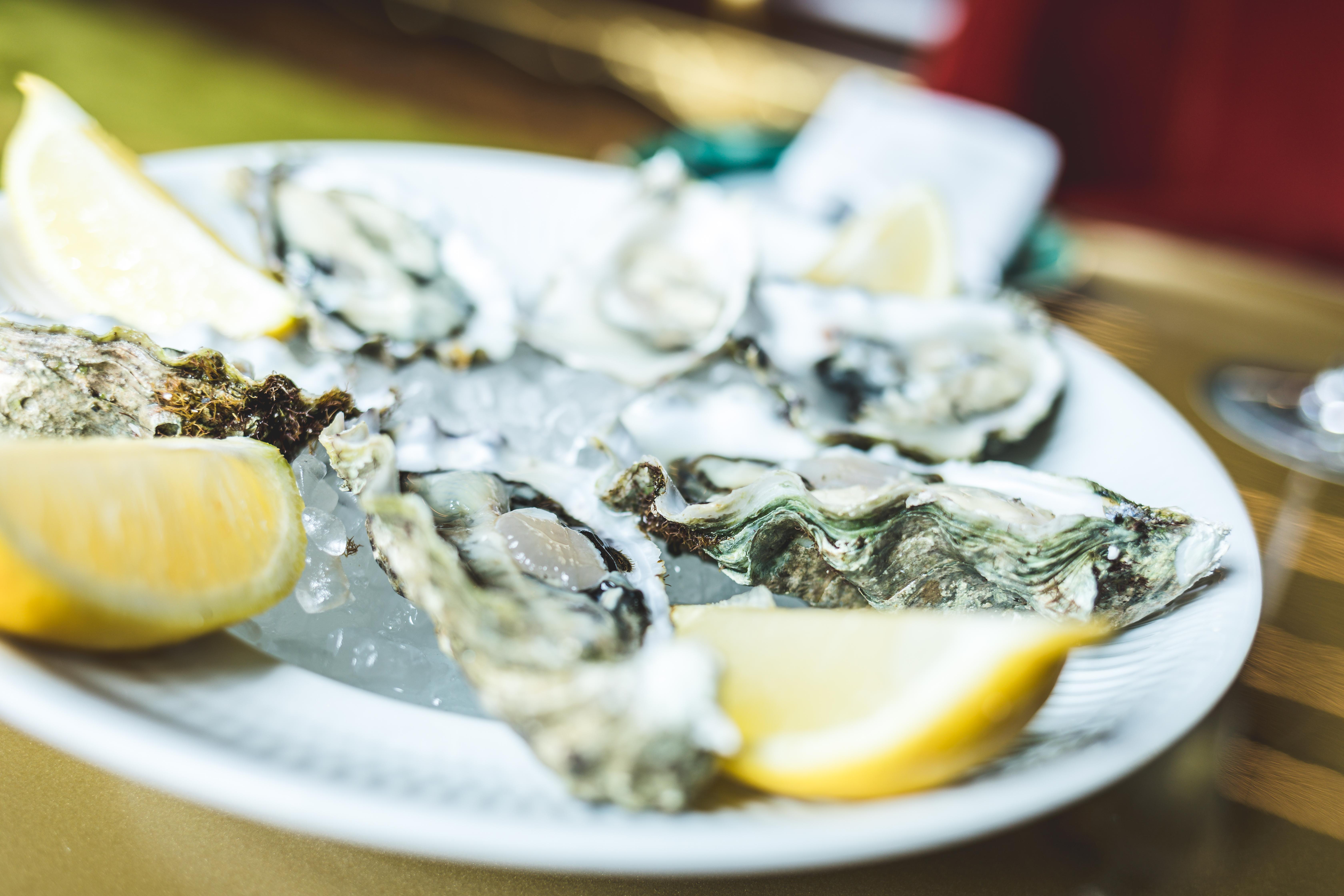 Vila Foz Hotel&SPA OOporto Exterior foto Oysters on ice with lemon